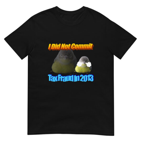 i did not commit tax fraud in 2013 Unisex T-Shirt